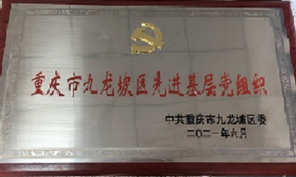 公司黨支部被授予“中共九龍坡區先進基層黨組織”稱號